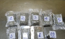 Số lượng ma tuý bị thu giữ.