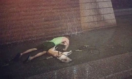 Chết vì điện giật do nhảy vào bể nước... cứu chó