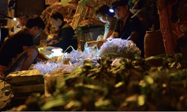 Đi chợ côn trùng lớn nhất Sài Gòn