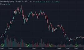 Cổ phiếu Tân Tạo giảm mạnh 9 phiên liên tiếp, nguy cơ vào diện kiểm soát