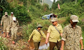 Người trẻ bảo vệ rừng già 