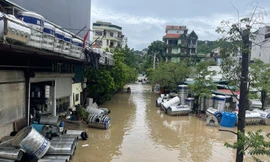 Quảng Ninh hối hả khắc phục hậu quả bão số 3