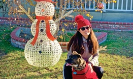 Cũng như nhiều người sống ở Mỹ và trên thế giới, tác giả bài báo có một năm "move on"- định hướng lại mọi chuyện, lăn bánh về hướng khác