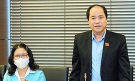 'Tại sao cứ nhất thiết phải đồng loạt có thanh tra huyện?'