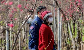 Diễn biến thời tiết từ 23 tháng Chạp đến mùng 6 Tết trên khắp cả nước