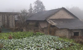 Người dân vùng cao đối phó với thời tiết băng giá