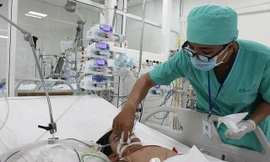 Ảnh minh họa: Internet