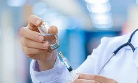 Ảnh minh họa: Internet