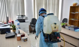 Ảnh minh họa: Internet