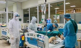 Ảnh minh họa: Internet