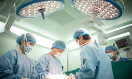 Ảnh minh họa: Internet