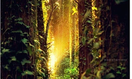 Những khoảnh khắc đẹp như mơ