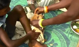 Chú chó được mặc váy cưới theo truyền thống Ấn Độ