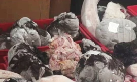 Số thịt đông lạnh từ thập niên 80 bị lực lượng chức năng Romania bắt giữ