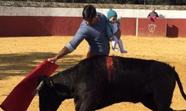 Bức ảnh Francisco bế con gái 5 tháng tuổi ra đấu bò tót gây tranh cãi.