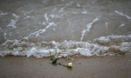 Bông hồng trắng đặt trên bờ biển Ban Nam Khem, Thái Lan để tượng niệm những nạn nhân xấu số trong thảm họa kinh hoàng nhất lịch sử thế giới.