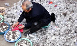 Ông Trương bên đống tiền lẻ nặng 1,8 tấn