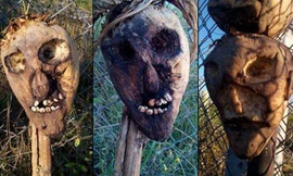 Bù nhìn rùng rợn được đặt dọc biên giới để xua người di cư