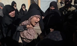 Những sự kiện trong tuần không thể bỏ qua