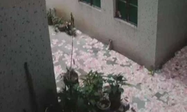 Tiền phủ kín cả góc đường dưới tòa chung cư ở Quảng Châu, Trung Quốc