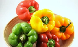 Thực phẩm bảo vệ làn da trong nắng hè