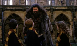 Những khoảnh khắc đáng nhớ của "bác Hagrid" Robbie Coltrane trong phim "Harry Potter"