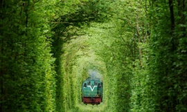 Lãng mạn 'Đường hầm tình yêu'