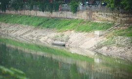 Nước sông Tô Lịch chuyển màu xanh lạ mắt