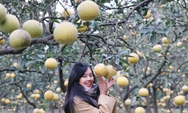 Check - in Hà Nội: Đi đâu để có ảnh Noel, ảnh Tết 'triệu like'?