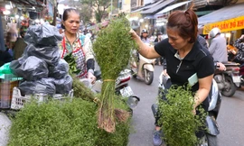 Mùi già xuống phố sớm gọi Tết về