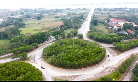 Nguy hiểm 'rừng' keo che khuất tầm nhìn giữa nút giao cửa ngõ Thủ đô