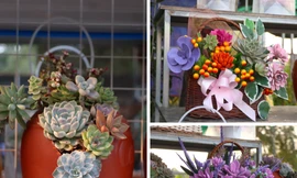 Sen đá lạ mắt hút khách dịp Quốc tế Phụ nữ 8/3