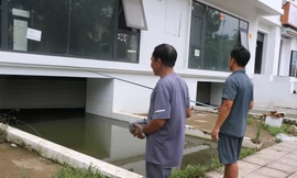 Câu cá dưới hầm biệt thự 'triệu đô' ở Hà Nội