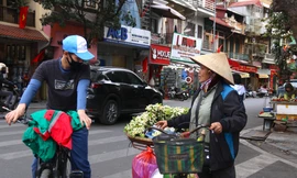 Hoa bưởi đầu mùa nửa triệu đồng/kg nhưng vẫn đắt khách