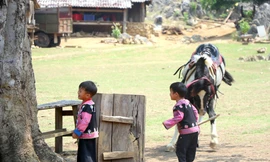 Độc nhất làng 'nguyên thủy' 3 không trên cao nguyên Mộc Châu
