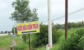 Teen trốn học đi 'chòi tình nhân'