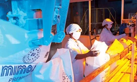 Sản xuất đường bị dồn vào 'cửa tử'