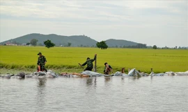 Ban đạo Trung ương về Phòng chống thiên tai yêu cầu các tỉnh ĐBSCL đảm bảo an toàn cho hạ du khi mở cửa đập xả lũ