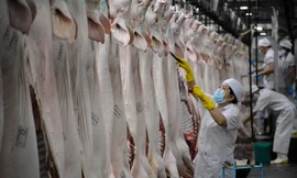 Bộ NN&PTNT sẽ thành lập tổ công tác hỗ trợ triển khai dự án chuỗi chăn nuôi, giết mổ, chế biết thịt lợn của Masan tại Hà Nam