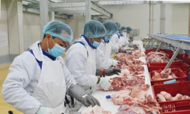 Để giữ trọn dưỡng chất cùng độ ngon tối ưu của thịt, sản phẩm thịt heo Meat Deli luôn được bảo quản xuyên suốt ở nhiệt độ 0-4 độ C từ nhà máy đến tận tay người tiêu dùng.