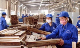 có xu hướng doanh nghiệp đầu tư sang ngành gỗ ở Việt Nam để "né" các chính sách trả đũa thương mại Mỹ-Trung.