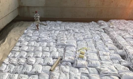 Việc các doanh nghiệp trúng thầu nhiều hợp đồng xuất khẩu đã kích thích giá lúa gạo trong nước tăng theo