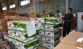 Thủ tướng yêu cầu xử lý dứt điểm vụ phân bón Thuận Phong và báo cáo Thủ tướng trong tháng 5/2018