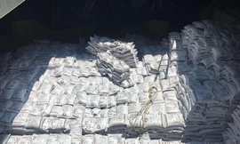 Vượt qua nhiều doanh nghiệp từ Thái Lan, Trung Quốc, Úc, Tập đoàn Tân Long trúng thầu xuất 60.000 tấn gạo Nhật cho Chính phủ Hàn Quốc