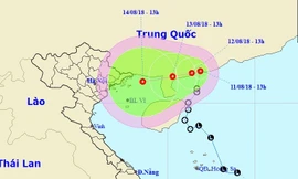 Dự báo áp thấp nhiệt đới sẽ thay đổi đường đi, đồng thời gây mưa lớn ở miền Bắc và Bắc Trung bộ trong tuần tới 