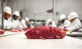 Tây Ban Nha dự kiến sẽ đẩy mạnh xúc tiến, tấn công đưa thịt bò nước này vào thị trường Việt Nam.