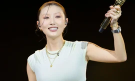 Biểu tượng sexy Hàn Quốc gây tranh cãi khi diễn ở Việt Nam