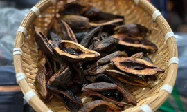 Trung Quốc mua cau giá rẻ làm kẹo, đưa ngược sang chợ Việt bán 3,3 triệu/kg