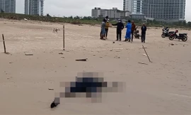 Nhân viên ngân hàng nhảy cầu ở Đà Nẵng tự tử, thi thể trôi dạt vào Quảng Nam