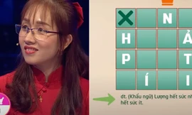 Vua tiếng Việt lại bị bắt lỗi 